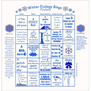 Winter Ecology Bingo
