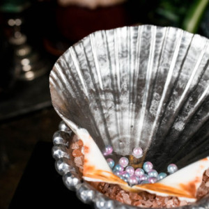 Large Mirrored Seashell Bowl