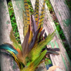 Smudge Fan-Pheasant-Hen, Blue-Green-Yellow-Cruelty free feathers, Henna Dyed