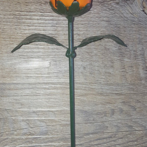 Orange Steel Rose