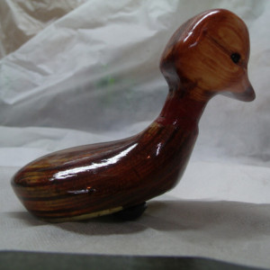 Wood Duck 3