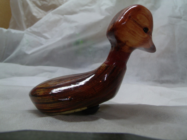 Wood Duck 3