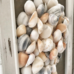 Seashell Wall Decor