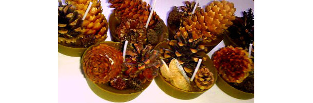 Father's Day Camping Pinecone Firestarters/Hunting/Hiking-Outdoorsman/Fireplace/Fire Pit/Pine Cone/Bonfire/Gift for Men