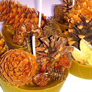 Father's Day Camping Pinecone Firestarters/Hunting/Hiking-Outdoorsman/Fireplace/Fire Pit/Pine Cone/Bonfire/Gift for Men