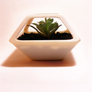 3D Printed Prism Planter, Square Flower Pot, Geometric Terrarium, Succulent Planter, Geodesic Container, Math Art, Polyhedra