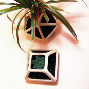 3D Printed Prism Planter, Square Flower Pot, Geometric Terrarium, Succulent Planter, Geodesic Container, Math Art, Polyhedra