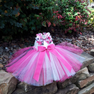 Pink Minnie Mouse Tutu and Hair Bow