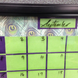 Peacock Dry Erase Calendar