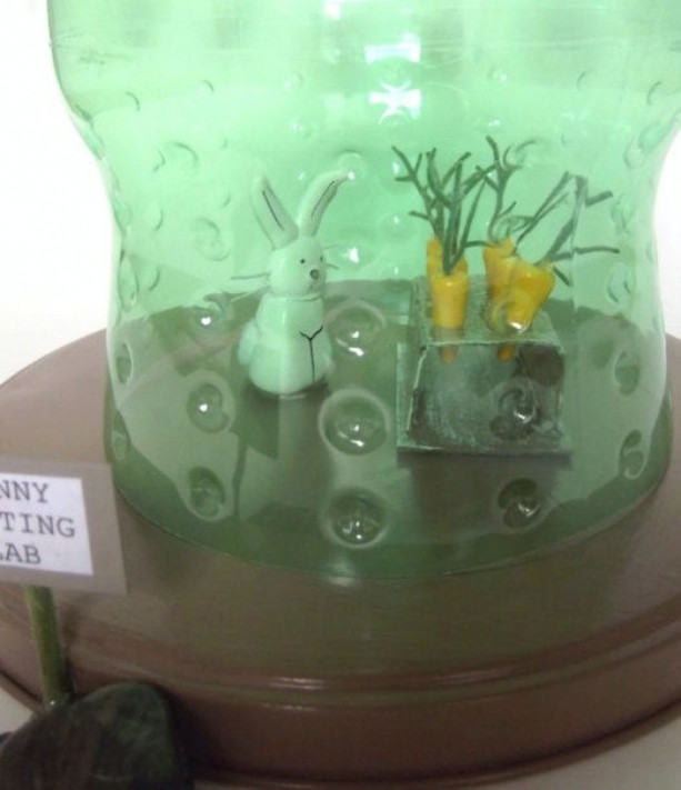 bunny testing lab / recycled pop bottle / fun room decor