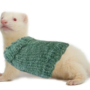 Customizable Pet Extra Stretchy One-Size-Fits-Most Ferret Sweater 