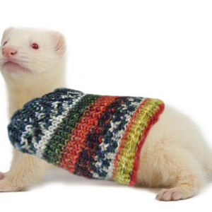Extra Stretchy Pet Ferret Sweater 