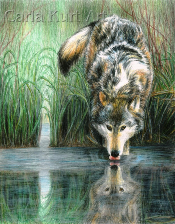 Afternoon Reflection by Carla Kurt signed print