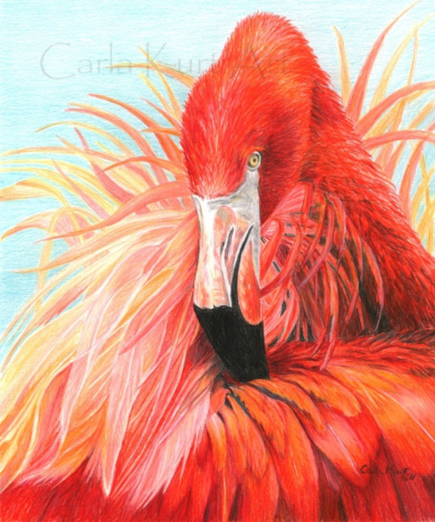 Bird Art RED FLAMINGO print by Carla Kurt Signed 11 x 14 wwao ebsq