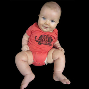 Organic Turtle Baby Onesie Salmon Cotton American Apparel Onepiece Bodysuit New Baby Shower Giift