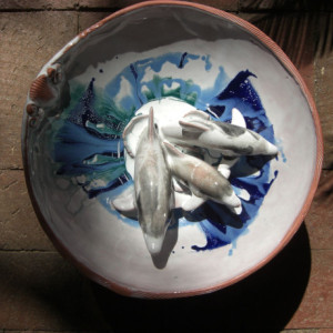 Bottlenose Dolphin Terracotta Footed Bowls No.1