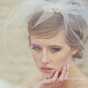 Birdcage Veil in Tulle with Rhinestone Flower Comb