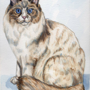 Custom Pet Portrait watercolor painting 16x20. Any pet! OOAK gift, watercolor pet, watercolor portrait, cat portrait, dog portrait, horse