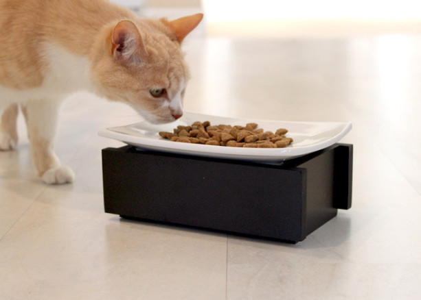 Whisker Stress Free Bowl- 4 Inch Elevated Feeder