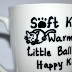 Soft Kitty Warm Kitty Sheldon Quote Coffee Mug For The Big Bang Theory Lovers, White 10 oz