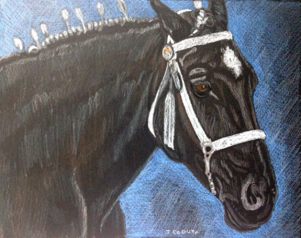 Original Percheron Draft horse prismacolor painting drawing 8x10. draft horse painting, horse art, percheron horse, show horse, black horse