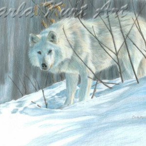 WINTER WOLF by Carla Kurt Signed print