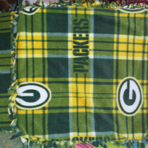 Green Bay Packers Seat Cushions