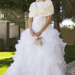 Alice Modest Lace Wedding Dress