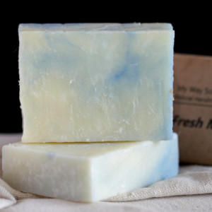 Mint Soap - Handmade Soap, All Natural Soap, Vegan Soap, Soap Wholesale, Organic Soap