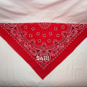 GLOW in the DARK Personalized Red Dog Bandana with White, Golden or Electric Blue Lettering