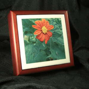 Mexican Sunflower Rosewood & Tile Jewelry Box