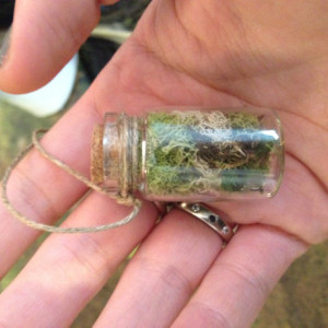 Lichen jar necklace nature natural found hemp moss