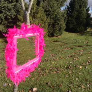 Pink Feather Mirror