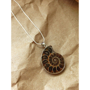 Ammonite Sterling silver necklace stone fossil sterling silver 24" chain