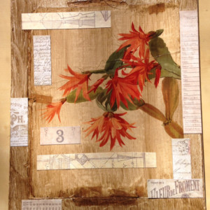 Original Handmade Collage, Epiphyllum, Botanical Art, Spring Celebrations, 11x14in