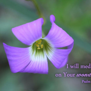 Scripture Art - Psalm 119 verse 27 - Purple Wildflower Photo - Religious art, Christian gift, Bible art, religious decor, Christian art,