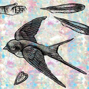 Free- Swallow and Feather  Mixed Media Illustration Print