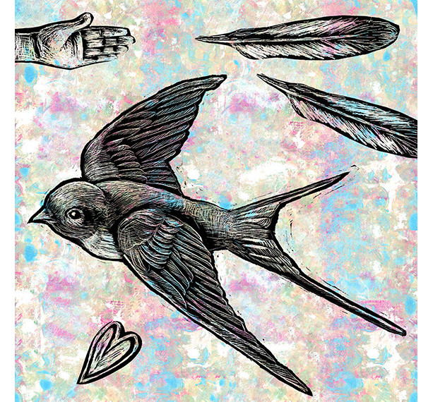 Free- Swallow and Feather  Mixed Media Illustration Print