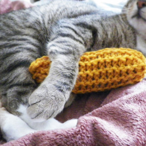 Knitted Kitty Kuddler