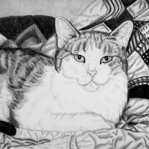 Custom Pet Portrait graphite pencil. 5x7. Any animal! Dog portrait, cat portrait, horse portrait. pencil portrait, ooak gift, pet drawing