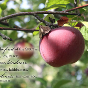 Fruit of the Spirit Bible Verse Art with Apple Photo Galatians 5 verse 22 Christian Kitchen Decor, Scripture Wall Art, Religious Home Decor