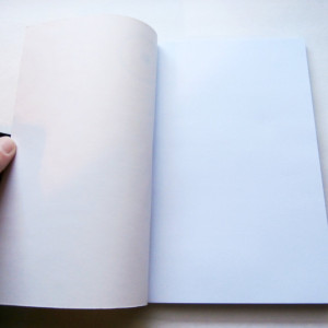 Pair of Journals | Hand Bound Journals | Blank Books | Wrap Journals | Idea Books | Writing Journals | Gift for Writer | Japanese Stab Bound