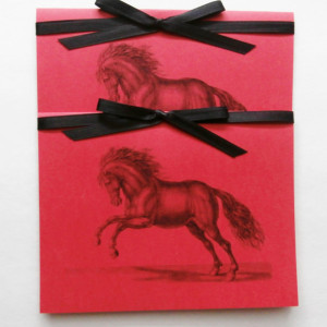 Horse Note Cards | Blank Note Cards | Horse Cards | Note Card Set | Horse Stationery | All Occasion Cards | Animal Cards