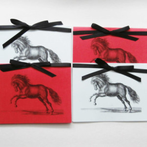 Horse Note Cards | Blank Note Cards | Horse Cards | Note Card Set | Horse Stationery | All Occasion Cards | Animal Cards