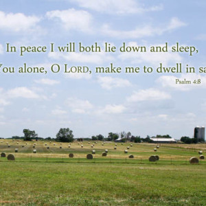 Bible Verse Art Hayfield Photo with Psalm 4 verse 8 Sleep in Peace Christian Bedroom Decor, Scripture Wall Art, Religious Home Decor