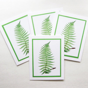 Fern Cards | Greeting Card Set | Fern Note Cards | Fern Stationery | Note Card Set | Blank Greeting Cards | Woodland Cards