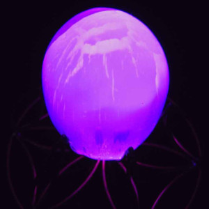 Purple LED lit Selenite egg resting on flower of life pedestal