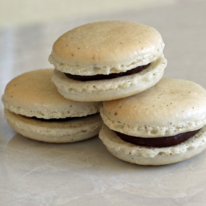 DIY Vanilla French Macaron Baking Mix , The perfect baking gift for any macaron or baked goods lover