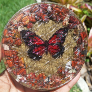 Red Brecciated Jasper Flower of Life charging plate