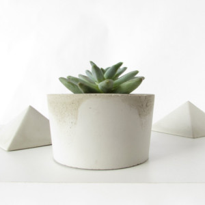 Concrete Planter || Cactus and Succulent Cement Pot